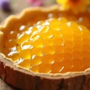 Jak stosować propolis? Przewodnik po zastosowaniach i korzyściach