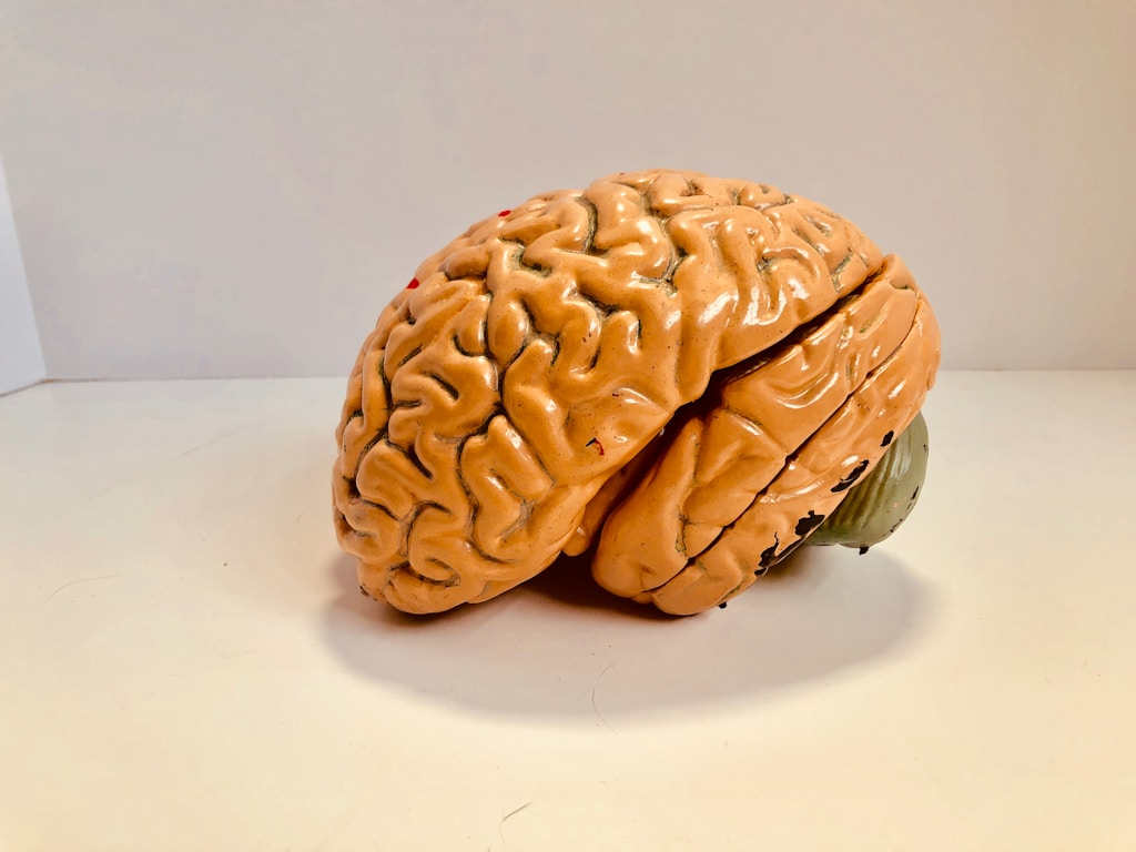 Schemat lokalizacji płata czołowego i płata skroniowego powiązanych z objawami neurologicznymi guza mózgu